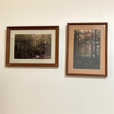 LOT 66: Pair of Framed Scenic Landscape Photographs