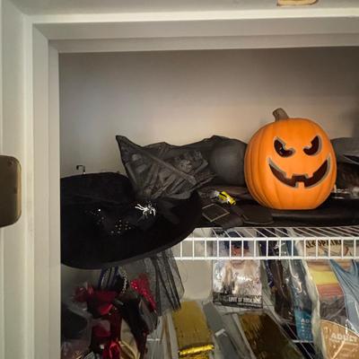 LOT 98: Closet Cleanout: Halloween Costumes & Accessories, Jimmy Fallon Hashtag Costume, NIP, Faux Poinsettas