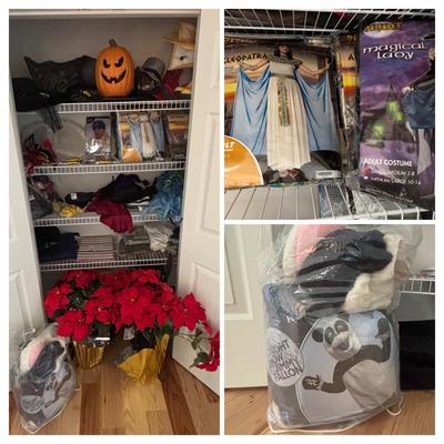 LOT 98: Closet Cleanout: Halloween Costumes & Accessories, Jimmy Fallon Hashtag Costume, NIP, Faux Poinsettas