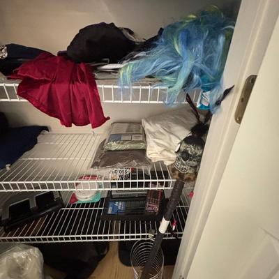 LOT 98: Closet Cleanout: Halloween Costumes & Accessories, Jimmy Fallon Hashtag Costume, NIP, Faux Poinsettas