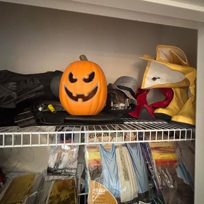 LOT 98: Closet Cleanout: Halloween Costumes & Accessories, Jimmy Fallon Hashtag Costume, NIP, Faux Poinsettas