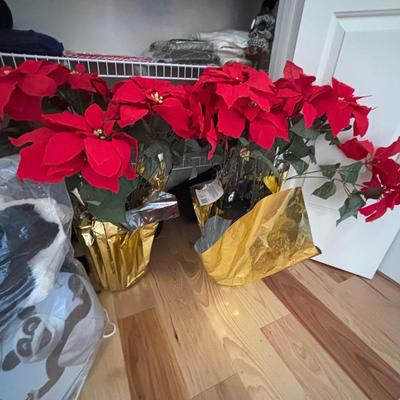 LOT 98: Closet Cleanout: Halloween Costumes & Accessories, Jimmy Fallon Hashtag Costume, NIP, Faux Poinsettas