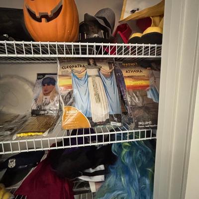 LOT 98: Closet Cleanout: Halloween Costumes & Accessories, Jimmy Fallon Hashtag Costume, NIP, Faux Poinsettas