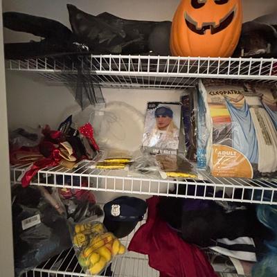 LOT 98: Closet Cleanout: Halloween Costumes & Accessories, Jimmy Fallon Hashtag Costume, NIP, Faux Poinsettas