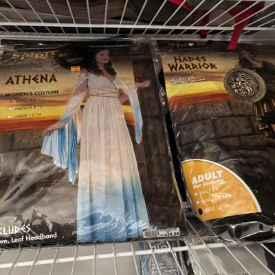 LOT 98: Closet Cleanout: Halloween Costumes & Accessories, Jimmy Fallon Hashtag Costume, NIP, Faux Poinsettas