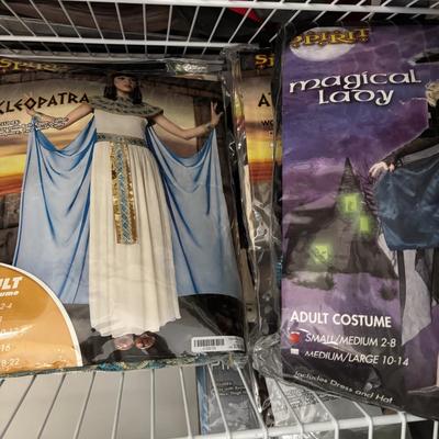 LOT 98: Closet Cleanout: Halloween Costumes & Accessories, Jimmy Fallon Hashtag Costume, NIP, Faux Poinsettas