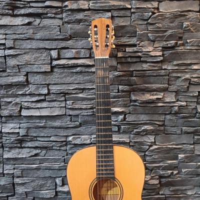 LOT 110: Vintage Tatra Handmade Acoustic Guitar 488 with Case