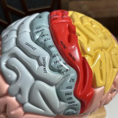 Sale Photo Thumbnail #154