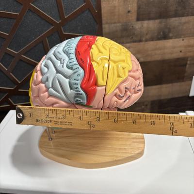 Sale Photo Thumbnail #157