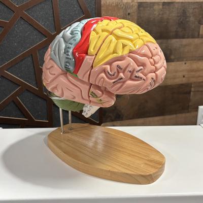 Sale Photo Thumbnail #153