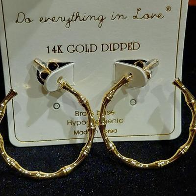14kt Gold Dipped Earrings