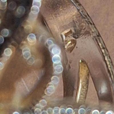 Sale Photo Thumbnail #1479: it's signed but  we can't make out the mark- maybe Lv?  