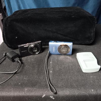 SONY CYBERSHOT AND CANON POWERSHOT DIGITAL CAMERAS