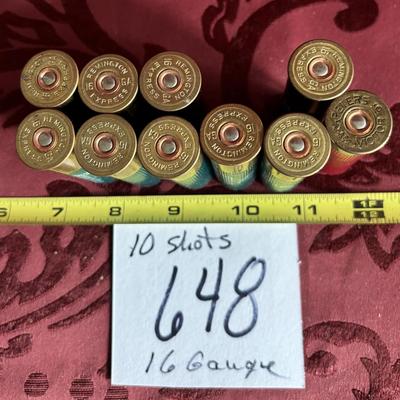 10 Shots 16 Gauge