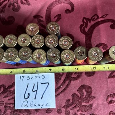 17 Shots 12 Gauge