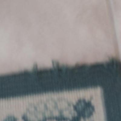 Karastan Indoor/Outdoor Patio Rug- Approx 5.7' x 7.10'