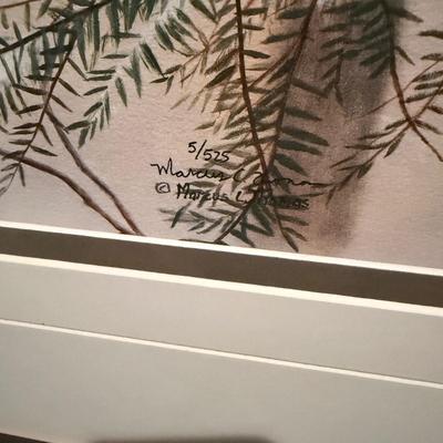 Marcus Thomas - Weaverville Artist, Framed Artwork (LR-MG)