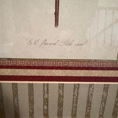 Two Botanical Framed Prints (LR-MG)