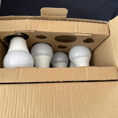 Assortment of Light Bulbs (LR-MG)