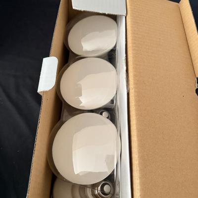 Assortment of Light Bulbs (LR-MG)