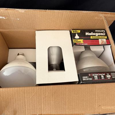 Assortment of Light Bulbs (LR-MG)