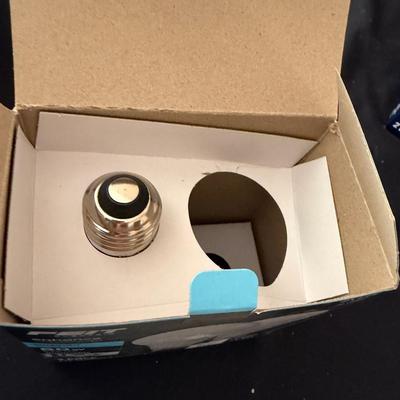 Assortment of Light Bulbs (LR-MG)