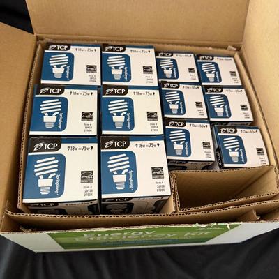 Assortment of Light Bulbs (LR-MG)