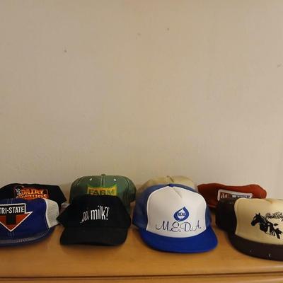 Baseball caps / hats for your collection Got milk?- Ag land - Tri-state - Dairy specialists and more