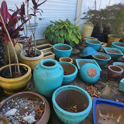 Sale Photo Thumbnail #19