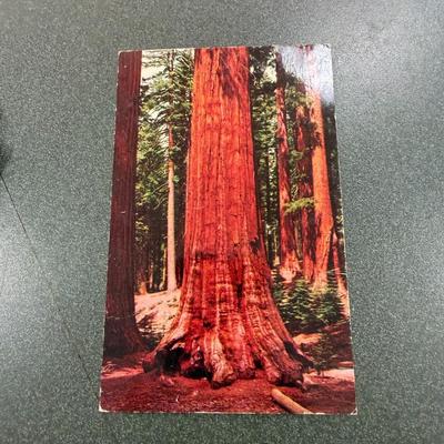 Sale Photo Thumbnail #69: Vintage Postcards  Over 75 items