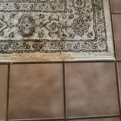 Sorento Area Rug Size 5’ 3” x 7’ 7” (LR-MG)