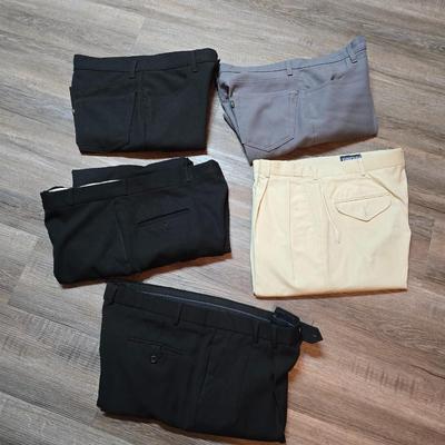 Five pair of Men's slacks - 2 are Levi brand - see pictures for sizes