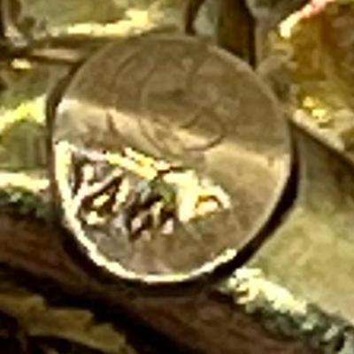 LOT 42: 14K Yellow Gold Ruby and Diamond Pendant - 6.4 GTW