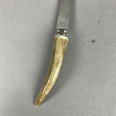 S400 Safari Wildlife Decor & Collectibles