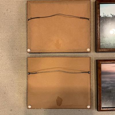 H402 Set of 6 Custom Burl Wood Framed African Animal Photographs