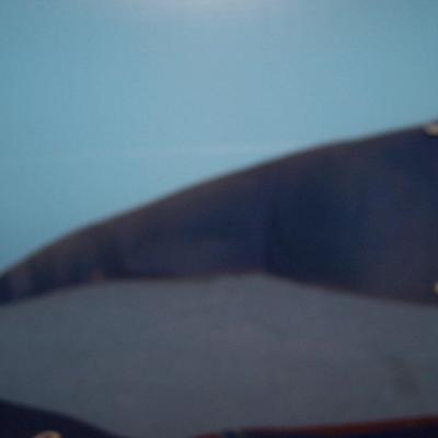 LOT 76 GREAT VINTAGE PENNANTS--NATL PARKS/WORLD'S FAIR/TX