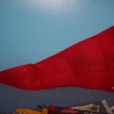 LOT 76 GREAT VINTAGE PENNANTS--NATL PARKS/WORLD'S FAIR/TX