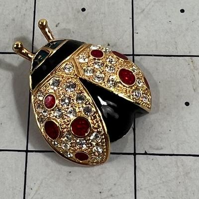 Lady Bug Pin, Signed Roman 