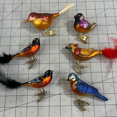 Colorful Orange-ish Birds, Clip on 