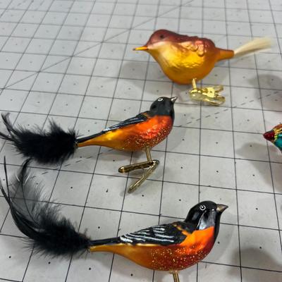 Colorful Orange-ish Birds, Clip on 
