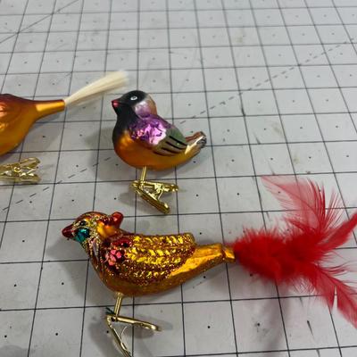 Colorful Orange-ish Birds, Clip on 