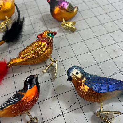 Colorful Orange-ish Birds, Clip on 