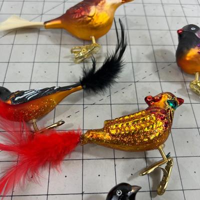 Colorful Orange-ish Birds, Clip on 