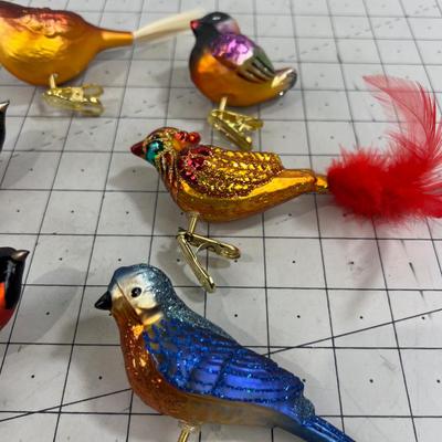 Colorful Orange-ish Birds, Clip on 