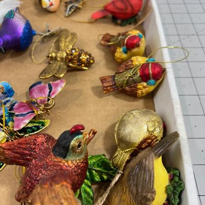 Birds, Butterflies and Bees 