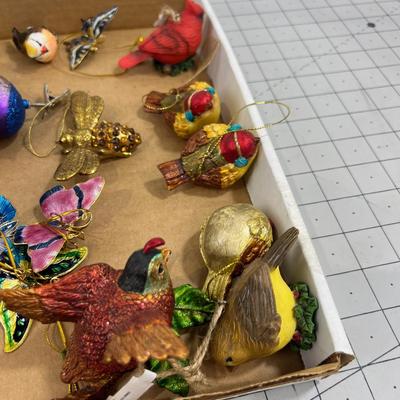 Birds, Butterflies and Bees 