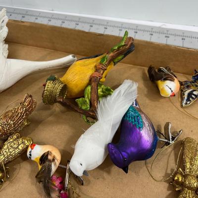 Birds, Butterflies and Bees 