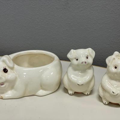 Piggy S&P with holder