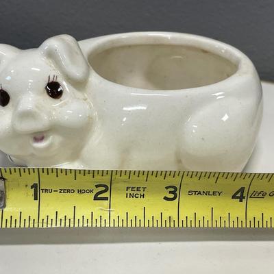 Piggy S&P with holder