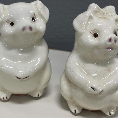 Piggy S&P with holder